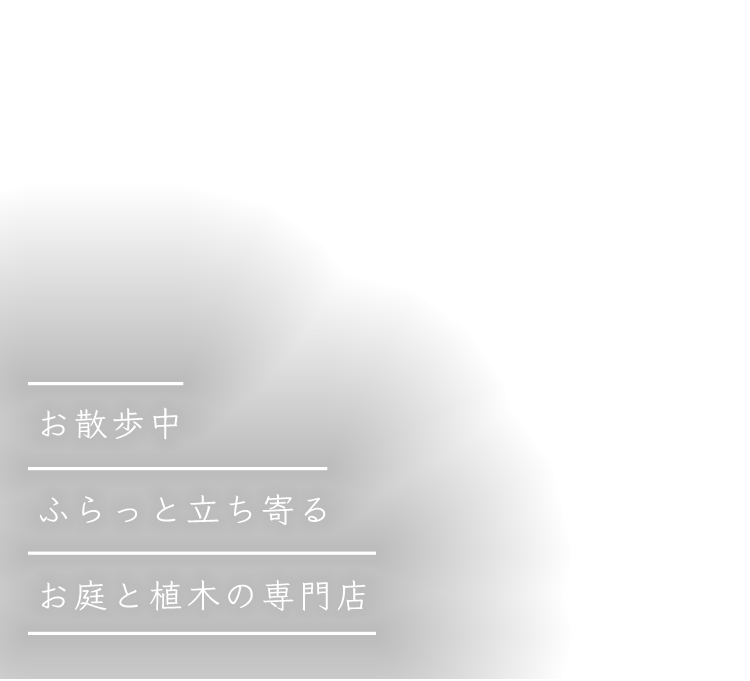 お散歩中ふらっと立ち寄るお庭と植木の専門店