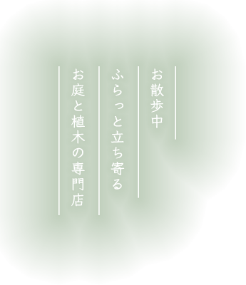お散歩中ふらっと立ち寄るお庭と植木の専門店